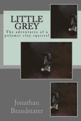 bokomslag Little Grey: The adventures of a polymer clay squirrel