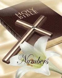 Numbers: 4th Book in the Old Testament 1