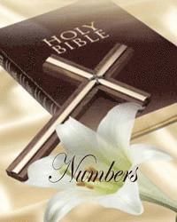 Billy R. Fincher - Numbers: 4th Book in the Old Testament, Häftad