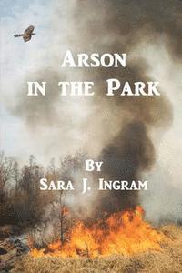 bokomslag Arson in the Park