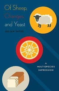 bokomslag Of Sheep, Oranges, and Yeast