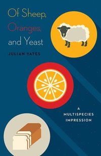 bokomslag Of Sheep, Oranges, and Yeast