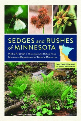 Welby R. Smith, Welby R Smith - Sedges and Rushes of Minnesota, Häftad