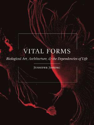 bokomslag Vital Forms