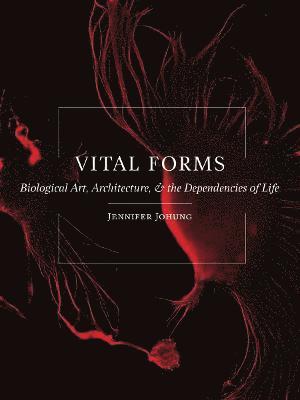 Vital Forms