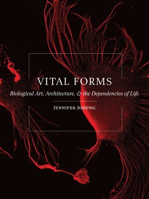 bokomslag Vital Forms