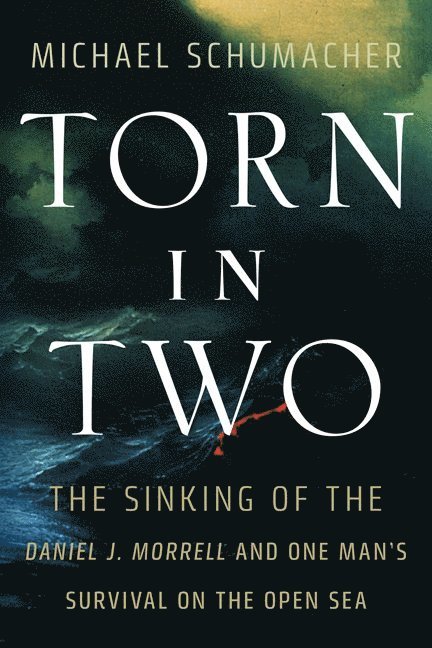 Michael Schumacher - Torn in Two, Häftad