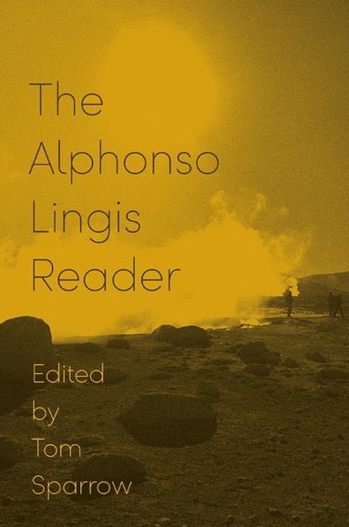 bokomslag Alphonso Lingis Reader