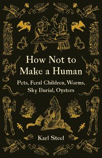bokomslag How not to Make a Human