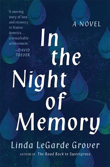 Linda LeGarde Grover - In the Night of Memory, Häftad