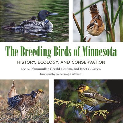 The Breeding Birds of Minnesota 1