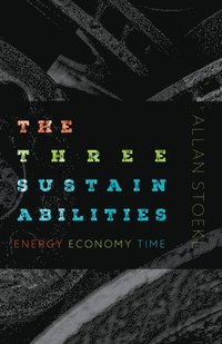 bokomslag The Three Sustainabilities