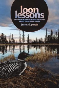 bokomslag Loon Lessons