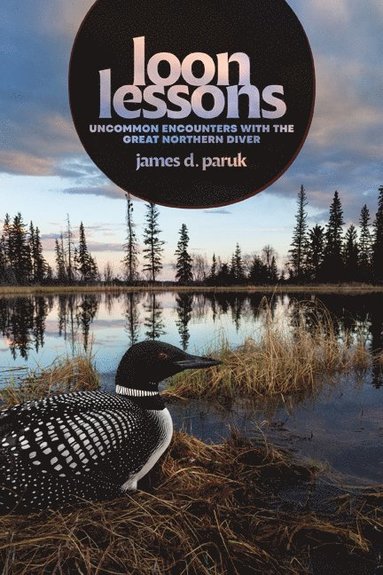 bokomslag Loon Lessons