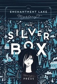 bokomslag The Silver Box