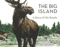 bokomslag Big Island