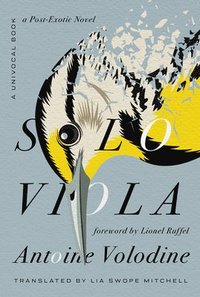 bokomslag Solo Viola