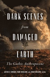bokomslag Dark Scenes from Damaged Earth