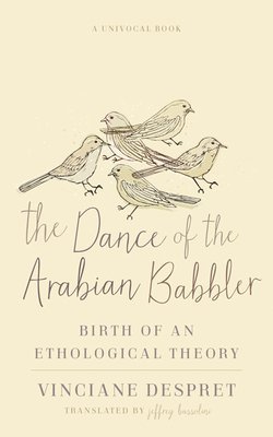 The Dance of the Arabian Babbler 1