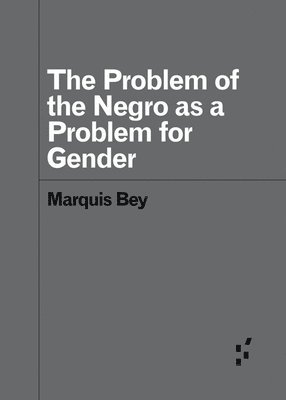 bokomslag The Problem of the Negro as aProblem for Gender