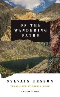 bokomslag On the Wandering Paths