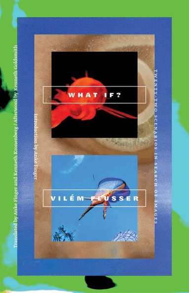 Vilém Flusser - What If?, Häftad