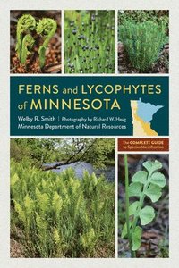 bokomslag Ferns and Lycophytes of Minnesota