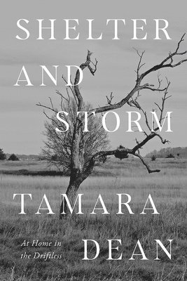 Tamara Dean - Shelter and Storm, Häftad