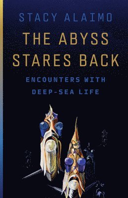 The Abyss Stares Back 1