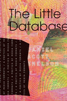 bokomslag Little Database