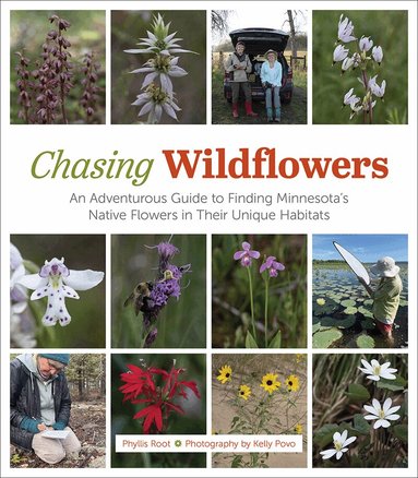 Phyllis Root - Chasing Wildflowers, Inbunden