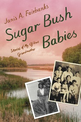 bokomslag Sugar Bush Babies