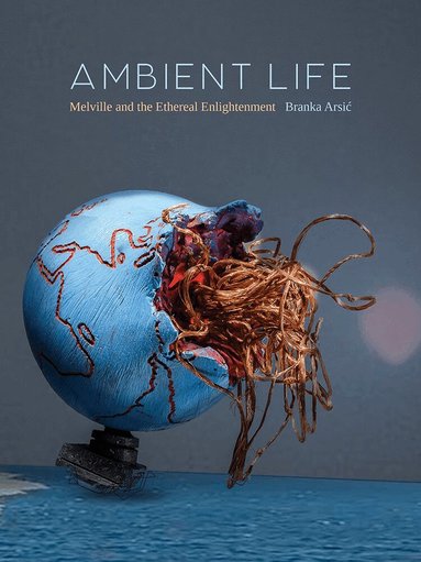 Branka Arsić - Ambient Life Volume 80, Inbunden
