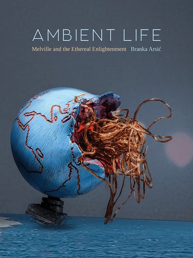 Branka Arsić - Ambient Life Volume 80, Häftad