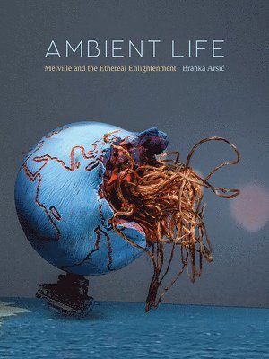 Ambient Life Volume 80