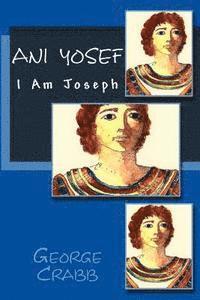 bokomslag Ani Yosef: I am Joseph