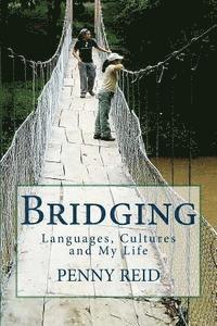 bokomslag Bridging