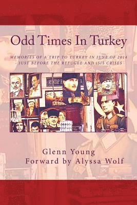 Odd Times In Turkey: Memories of a Trip to Turkey in June of 2014 - Just Before the Refugee Crisis
