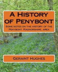 bokomslag A History of Penybont: Some notes on the history of the Penybont, Radnorshire, area