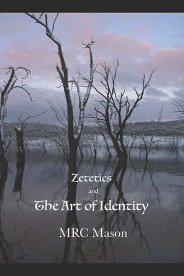 bokomslag Zetetics and the Art of Identity