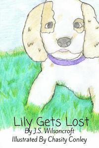 bokomslag Lily Gets Lost