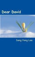 bokomslag Dear David