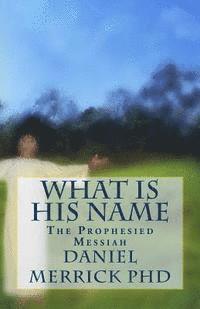 Daniel W. Merrick - What Is His Name: The Prophesied Messiah, Häftad. Tillgänglighet: Lägg i varukorg