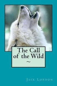 bokomslag The Call of the Wild