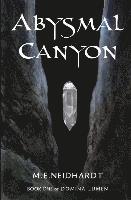 bokomslag Abysmal Canyon: A Young Adult/New Adult Crossworlds Science Fantasy Novel (Domina Lumen Book 1)