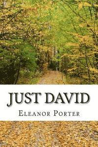bokomslag Just David: (Eleanor H. Porter Classics Collection)