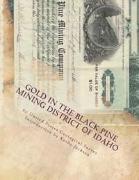 bokomslag Gold in the Black Pine Mining District of Idaho