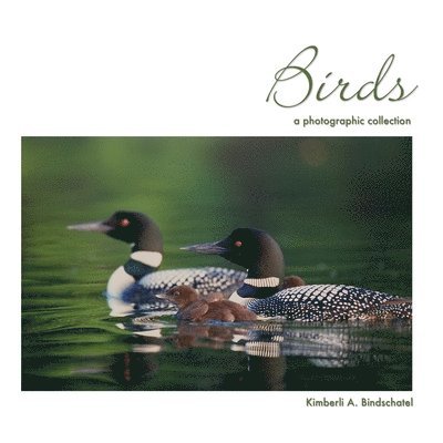 Birds: a photographic collection 1