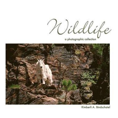 bokomslag Wildlife: a photographic collection