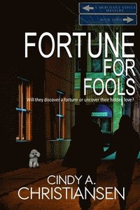 bokomslag Fortune for Fools